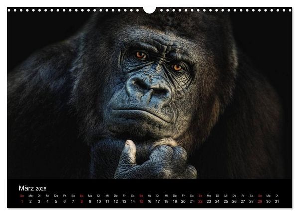 Produktbild: Tierisches (Wandkalender 2026 DIN A3 quer), CALVENDO Monatskalender