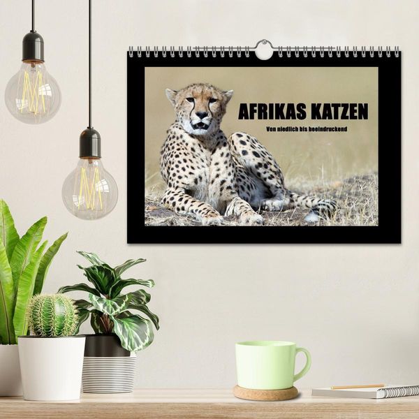 Produktbild: Afrikas Katzen (Wandkalender 2026 DIN A4 quer), CALVENDO Monatskalender