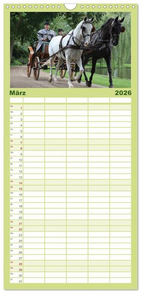 Produktbild: Familienplaner 2026 - CIAT - Historischer Fahrsport in Celle mit 5 Spalten (Wandkalender, 21 x 45 cm) CALVENDO
