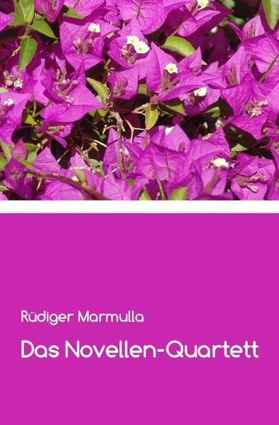 Produktbild: Das Novellen-Quartett