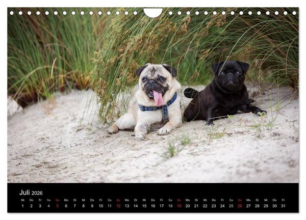 Produktbild: Vermopst durchs Jahr (Wandkalender 2026 DIN A4 quer), CALVENDO Monatskalender