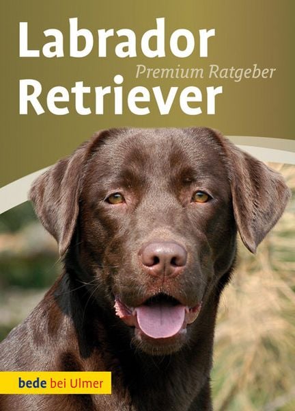 Produktbild: Labrador Retriever