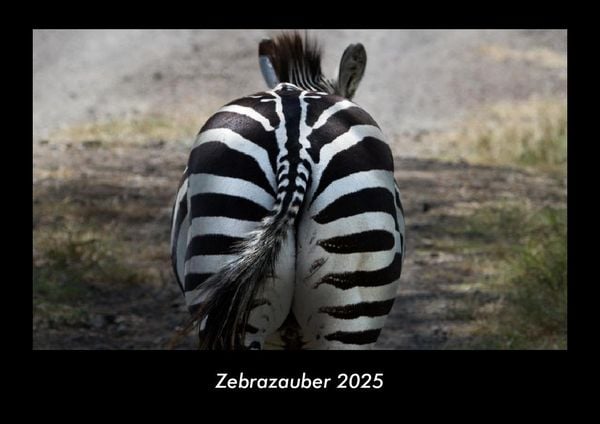 Produktbild: Zebrazauber 2025 Fotokalender DIN A3