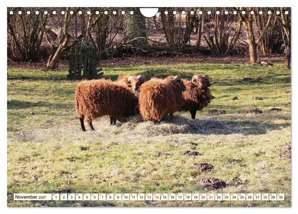 Produktbild: Brandenburg - Drei D&ouml;rfer im Naturpark Nuthe-Nieplitz - Fresdorf, St&uuml;cken, K&ouml;rzin (Wandkalender 2027 DIN A4 quer), CALVENDO Monatskalender