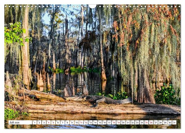 Produktbild: Louisiana - S&uuml;mpfe und Plantagenh&auml;user (Wandkalender 2026 DIN A3 quer), CALVENDO Monatskalender