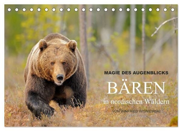 Produktbild: Magie des Augenblicks - B&auml;ren in nordischen W&auml;ldern (Tischkalender 2027 DIN A5 quer), CALVENDO Monatskalender