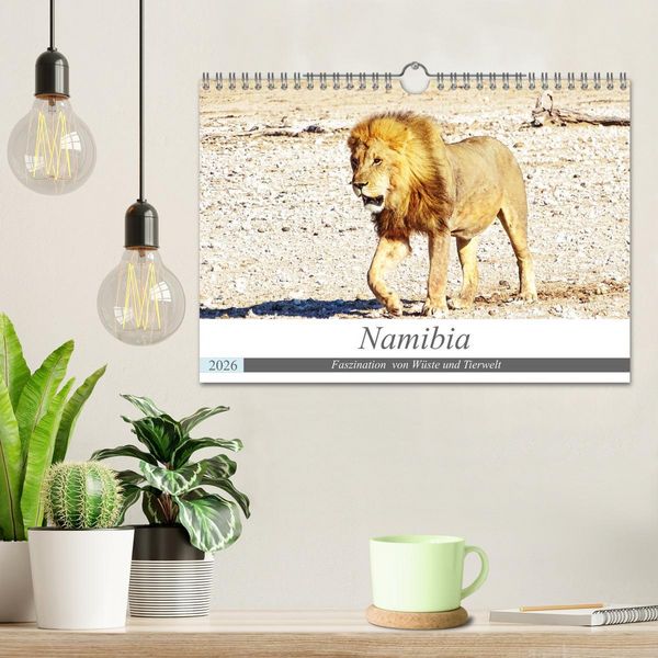 Produktbild: Namibia, Faszination W&uuml;ste und Tierwelt (Wandkalender 2026 DIN A4 quer), CALVENDO Monatskalender