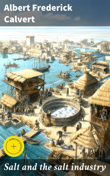 Produktbild: Salt and the salt industry