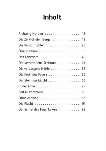 Der letzte Feuerfalke und die Kristallhöhlen (Band 2)