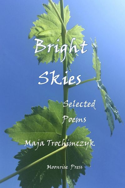 Produktbild: Bright Skies