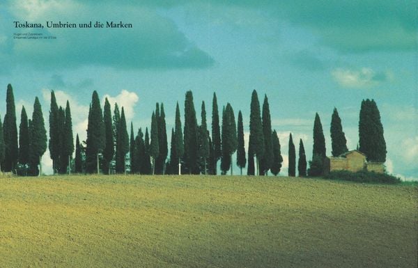 Produktbild: Die echte italienische K&uuml;che