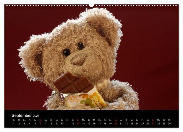 Produktbild: Herr Nopf ist da! (Wandkalender 2026 DIN A2 quer), CALVENDO Monatskalender