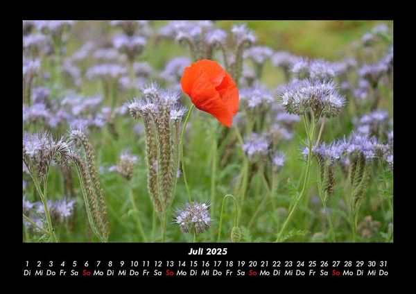 Produktbild: Blick in die Natur 2025 Fotokalender DIN A3