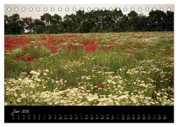 Produktbild: RH&Ouml;N = SCH&Ouml;N (Tischkalender 2026 DIN A5 quer), CALVENDO Monatskalender