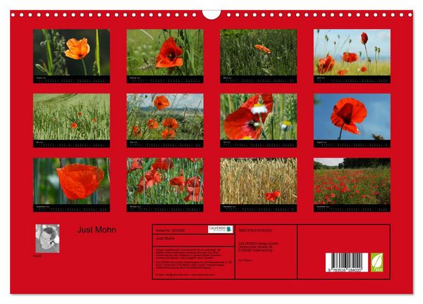 Produktbild: Just Mohn (Wandkalender 2026 DIN A3 quer), CALVENDO Monatskalender