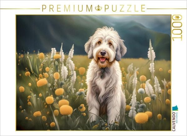 Produktbild: CALVENDO Puzzle Wei&szlig;er Aussiedoodle | 1000 Teile Lege-Gr&ouml;&szlig;e 64x48cm Foto-Puzzle f&uuml;r gl&uuml;ckliche Stunden