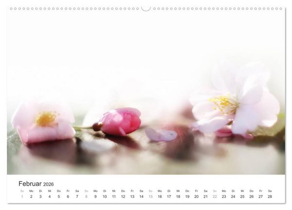 Produktbild: Kirschbl&uuml;tentraum (hochwertiger Premium Wandkalender 2026 DIN A2 quer), Kunstdruck in Hochglanz