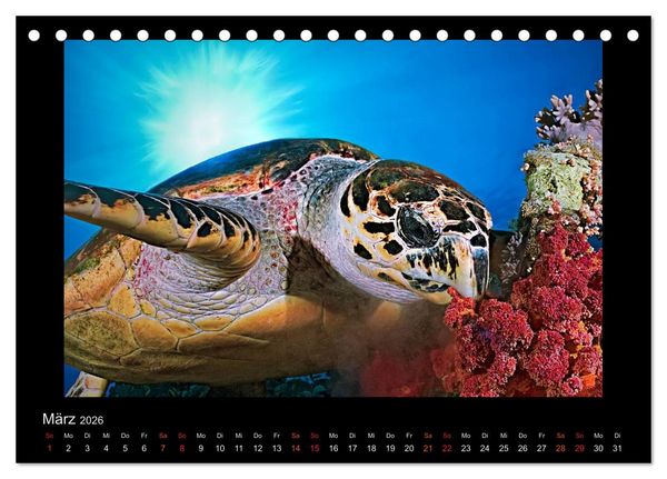 Produktbild: Ocean-Art / CH-Version (Tischkalender 2026 DIN A5 quer), CALVENDO Monatskalender