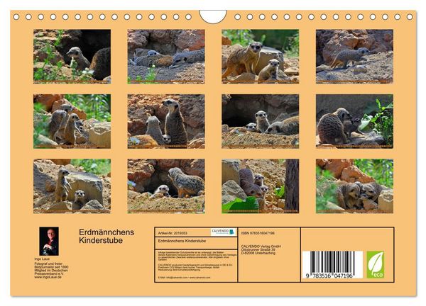 Produktbild: Erdm&auml;nnchens Kinderstube (Wandkalender 2026 DIN A4 quer), CALVENDO Monatskalender