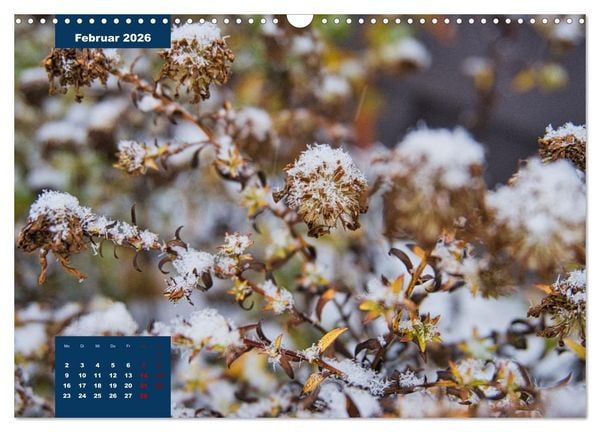 Produktbild: Winterstimmungen in Deutschland (Wandkalender 2026 DIN A3 quer), CALVENDO Monatskalender