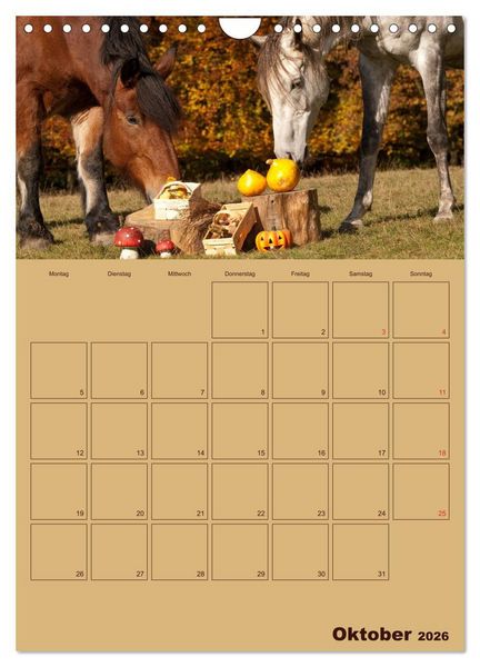 Produktbild: Pferde Gute Freunde (Wandkalender 2026 DIN A4 hoch), CALVENDO Monatskalender