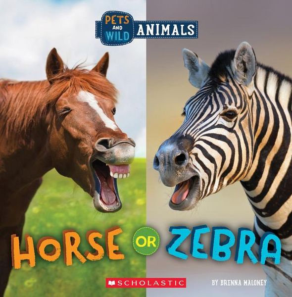 Produktbild: Horse or Zebra (Wild World: Pets and Wild Animals)