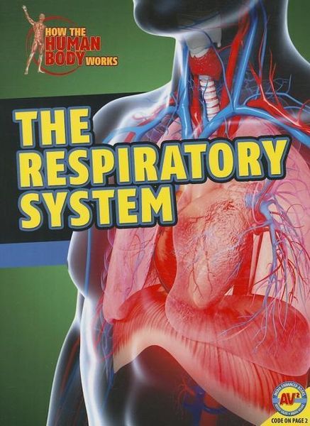 Produktbild: The Respiratory System