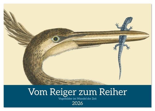 Produktbild: Vom Reiger zum Reiher (Tischkalender 2026 DIN A5 quer), CALVENDO Monatskalender