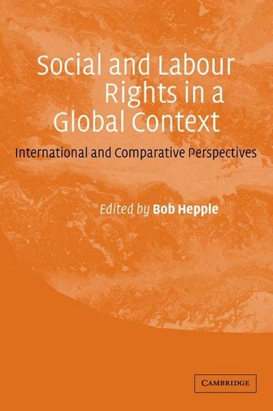 Produktbild: Social and Labour Rights in a Global Context