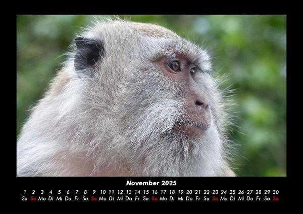 Produktbild: Bali 2025 Fotokalender DIN A3