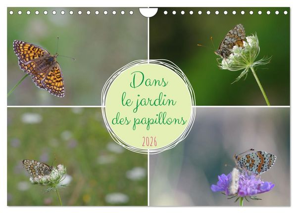 Dans le jardin des papillons (Calendrier mural 2026 DIN A4 vertical), CALVENDO calendrier mensuel