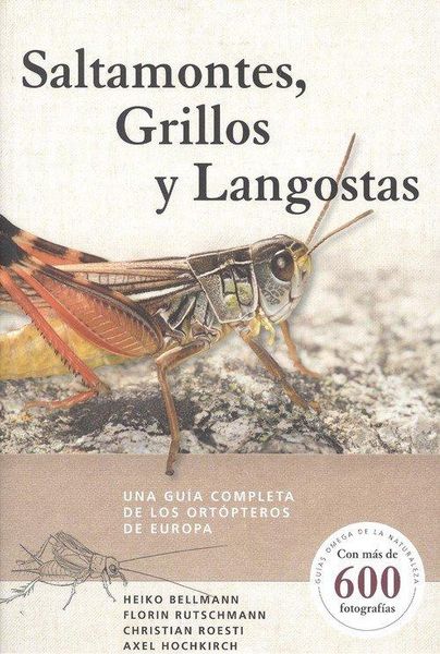 Produktbild: Saltamontes, grillos y langostas : una gu&iacute;a completa de los ort&oacute;pteros de Europa