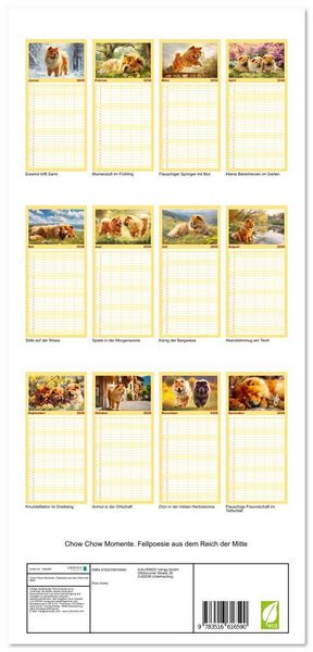 Produktbild: Familienplaner 2026 - Chow Chow Momente. Fellpoesie aus dem Reich der Mitte mit 5 Spalten (Wandkalender, 21 x 45 cm) CALVENDO