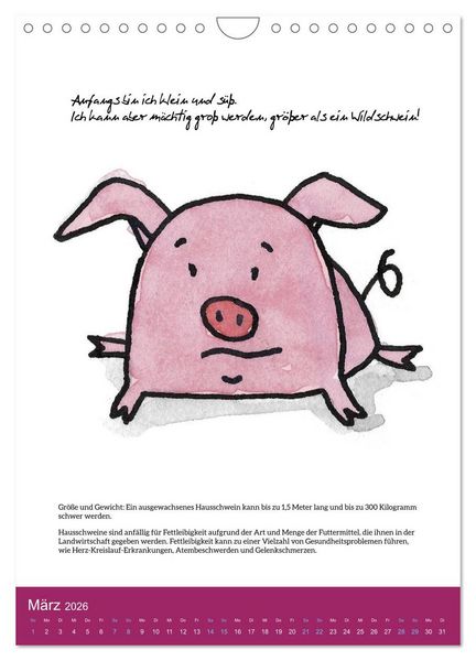 Produktbild: Schweinekalender - Alles was du &uuml;ber Schweine wissen wolltest! (Wandkalender 2026 DIN A4 hoch), CALVENDO Monatskalender
