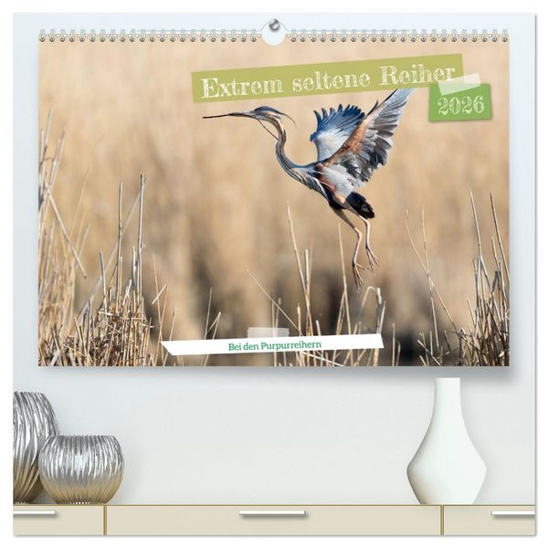 Produktbild: Extrem seltene Reiher (hochwertiger Premium Wandkalender 2026 DIN A2 quer), Kunstdruck in Hochglanz