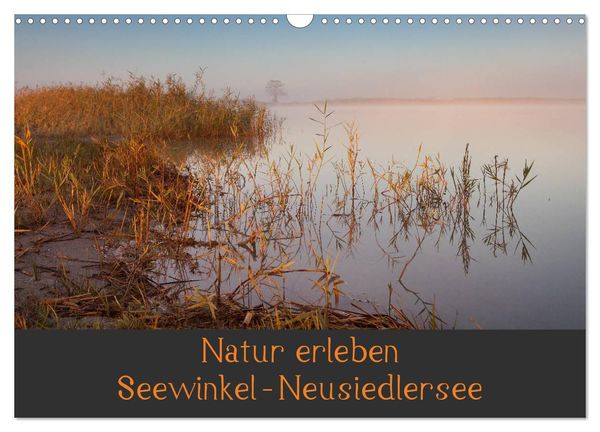 Natur erleben Seewinkel-Neusiedlersee (Wandkalender 2025 DIN A3 quer), CALVENDO Monatskalender