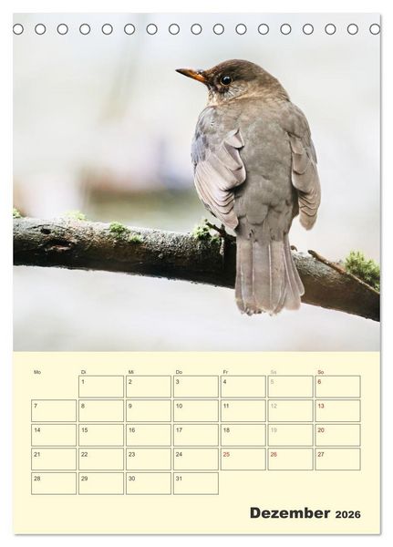 Produktbild: Vogelwelt an der Sieg (Tischkalender 2026 DIN A5 hoch), CALVENDO Monatskalender