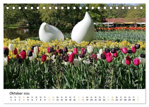 Produktbild: Auf Tour im Land der Tulpen (Tischkalender 2026 DIN A5 quer), CALVENDO Monatskalender