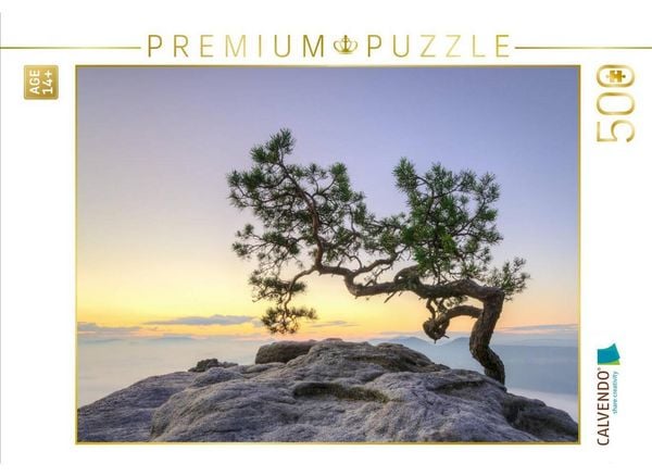 CALVENDO Puzzle Kiefer auf dem Lilienstein | 500 Teile Lege-Größe 48 × 36 cm Foto-Puzzle für Erwachsene