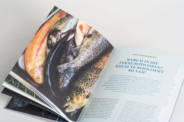 Produktbild: S&uuml;&szlig;wasserfisch