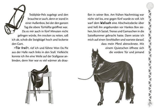 Produktbild: Charlottes Traumpferd 3: Ein unerwarteter Besucher