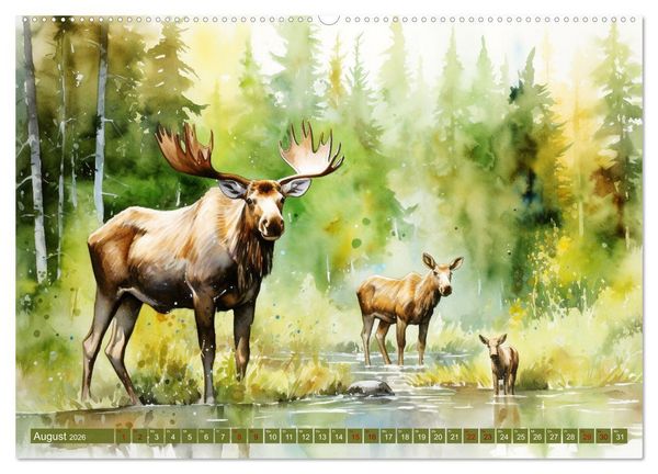 Produktbild: Zw&ouml;lf Monate im Wald (hochwertiger Premium Wandkalender 2026 DIN A2 quer), Kunstdruck in Hochglanz