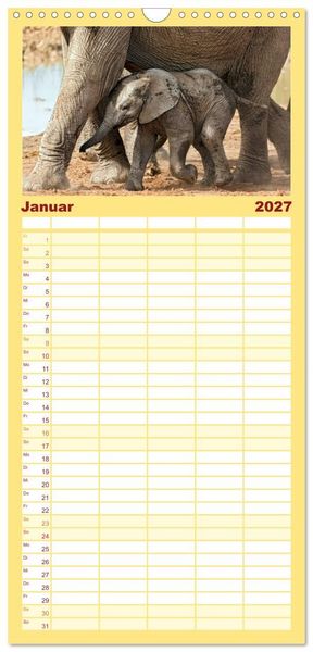 Produktbild: Familienplaner 2027 - Afrikas Tierwelt: Elefantenbabys mit 5 Spalten (Wandkalender, 21 x 45 cm) CALVENDO