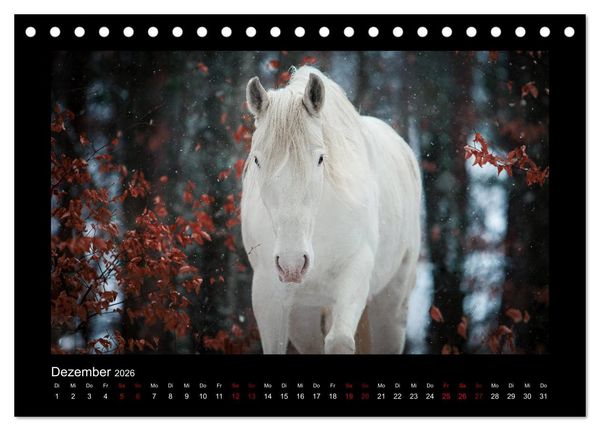 Produktbild: Die Faszinierende Welt der Pferde (Tischkalender 2026 DIN A5 quer), CALVENDO Monatskalender