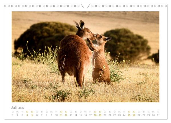 Produktbild: Ein L&auml;cheln f&uuml;r die Tierwelt (Wandkalender 2026 DIN A3 quer), CALVENDO Monatskalender