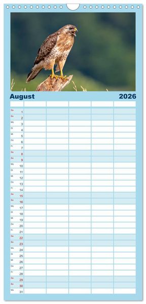 Produktbild: Familienplaner 2026 - Unsere Vogelvielfalt: Ein Schatz zum Entdecken und Sch&uuml;tzen mit 5 Spalten (Wandkalender, 21 x 45 cm) CALVENDO