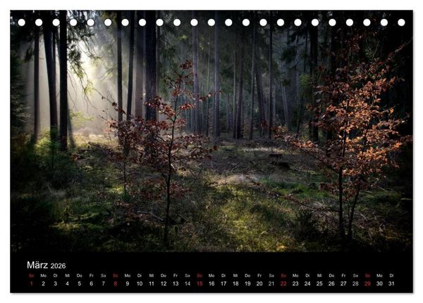 Produktbild: Waldkalender (Tischkalender 2026 DIN A5 quer), CALVENDO Monatskalender