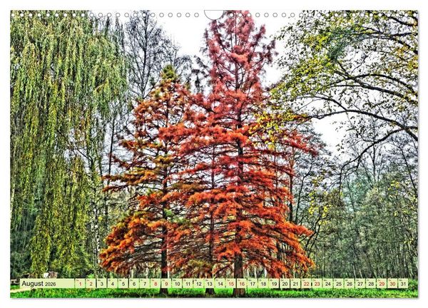 Produktbild: Verwunschene Waldtr&auml;ume: Ein Kalender voller Magie (Wandkalender 2026 DIN A3 quer), CALVENDO Monatskalender