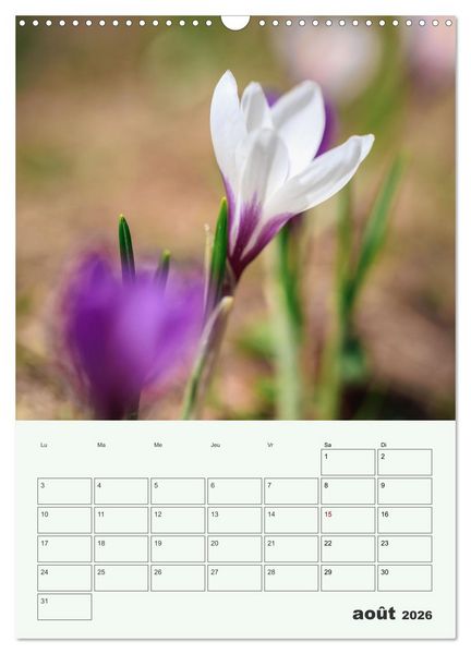Produktbild: Les fleurs, &eacute;ternelles &eacute;phem&egrave;res (Calendrier mural 2026 DIN A3 horizontal), CALVENDO calendrier mensuel