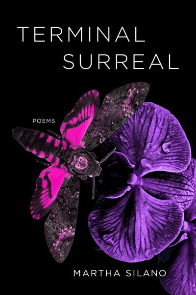 Produktbild: Terminal Surreal